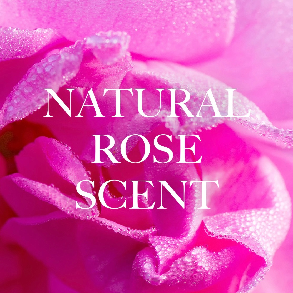 公式】antianti OFFICIAL ONLINE STORE|【完売】MACOTT 限定熟成香水